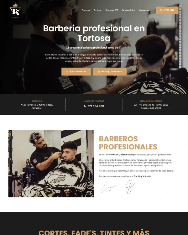 Diseño página web Tk Studio